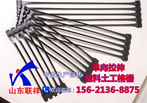 點擊查看詳細信息標題：單向拉伸塑料土工格柵 閱讀次數：930